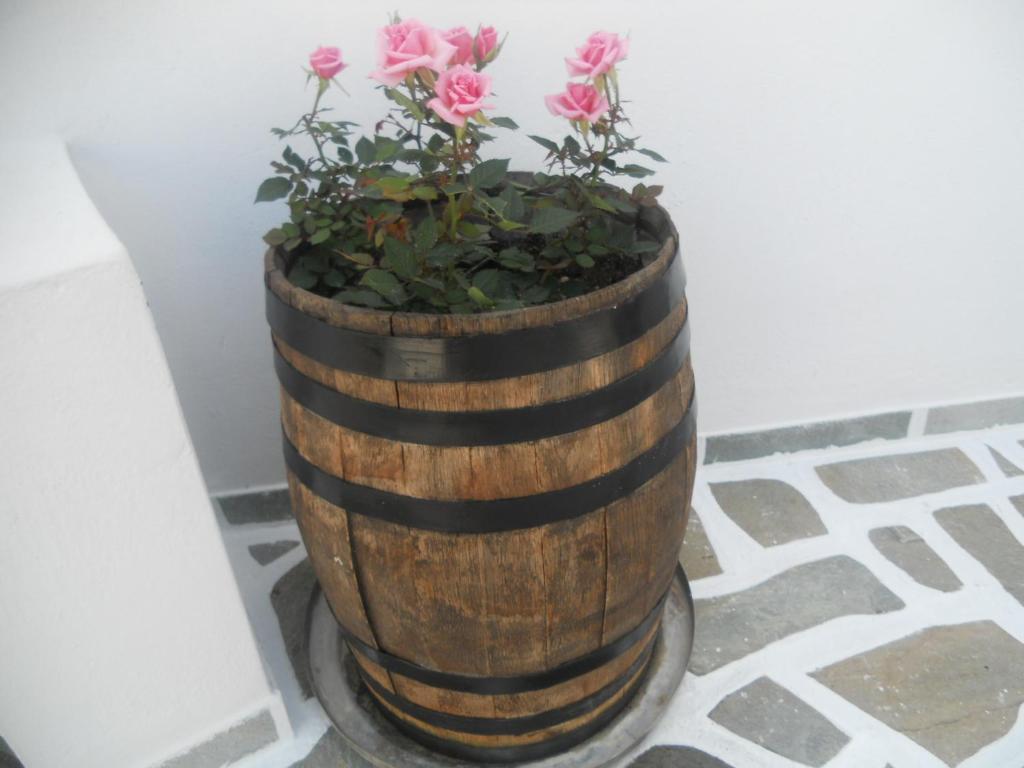 Ostria Appart hôtel Kamári
